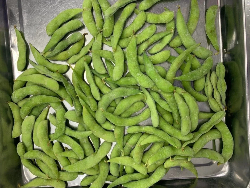 Health Vegetable IQF Frozen Soybean Kernel Shelled Edamame