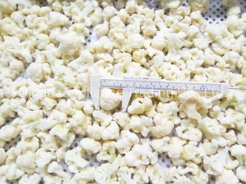 Factory Supplier Wholsale Bulk Price Frozen White Cauliflower IQF Organic Cauliflower for Exporting