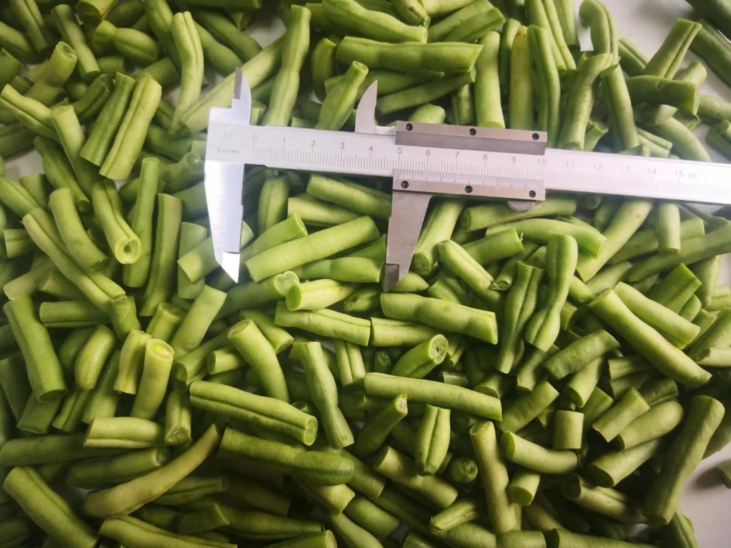 Top Quality IQF Frozen Green Bean Cut New Crop Green Bean