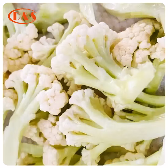 Nop EU Bio-gefrorener IQF-Blumenkohlschnitt / Blümchen aus China