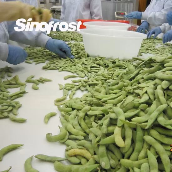IQF gefrorene Sojabohnenkerne, gefrorene Edamame-Kerne, gefrorene geschälte Sojabohnen, gefrorene geschälte Edamame