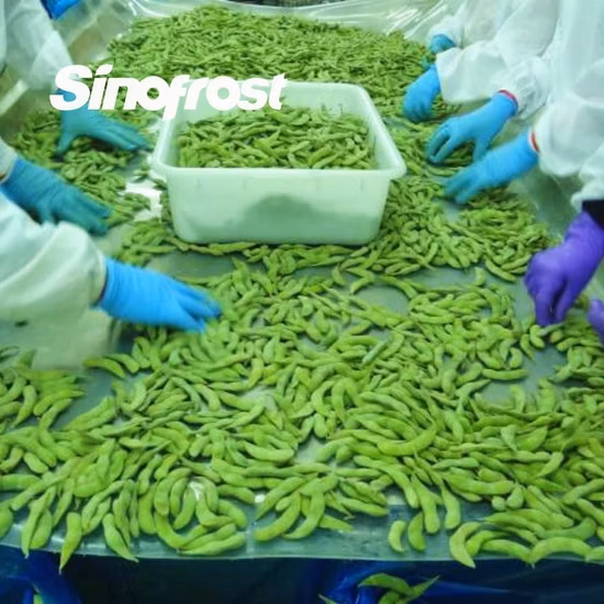 Neue Ernte, hochwertige IQF-gefrorene grüne Sojabohnenkerne Edamame mit Brc-Qualität für den Export